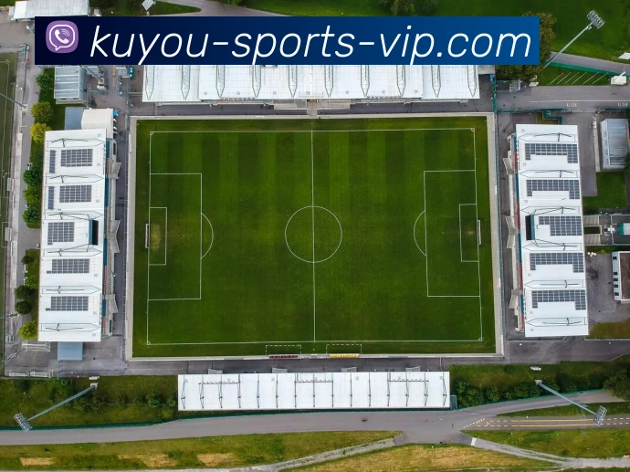 本菲卡转会收入达871亿欧元领跑21世纪葡超三强齐上榜